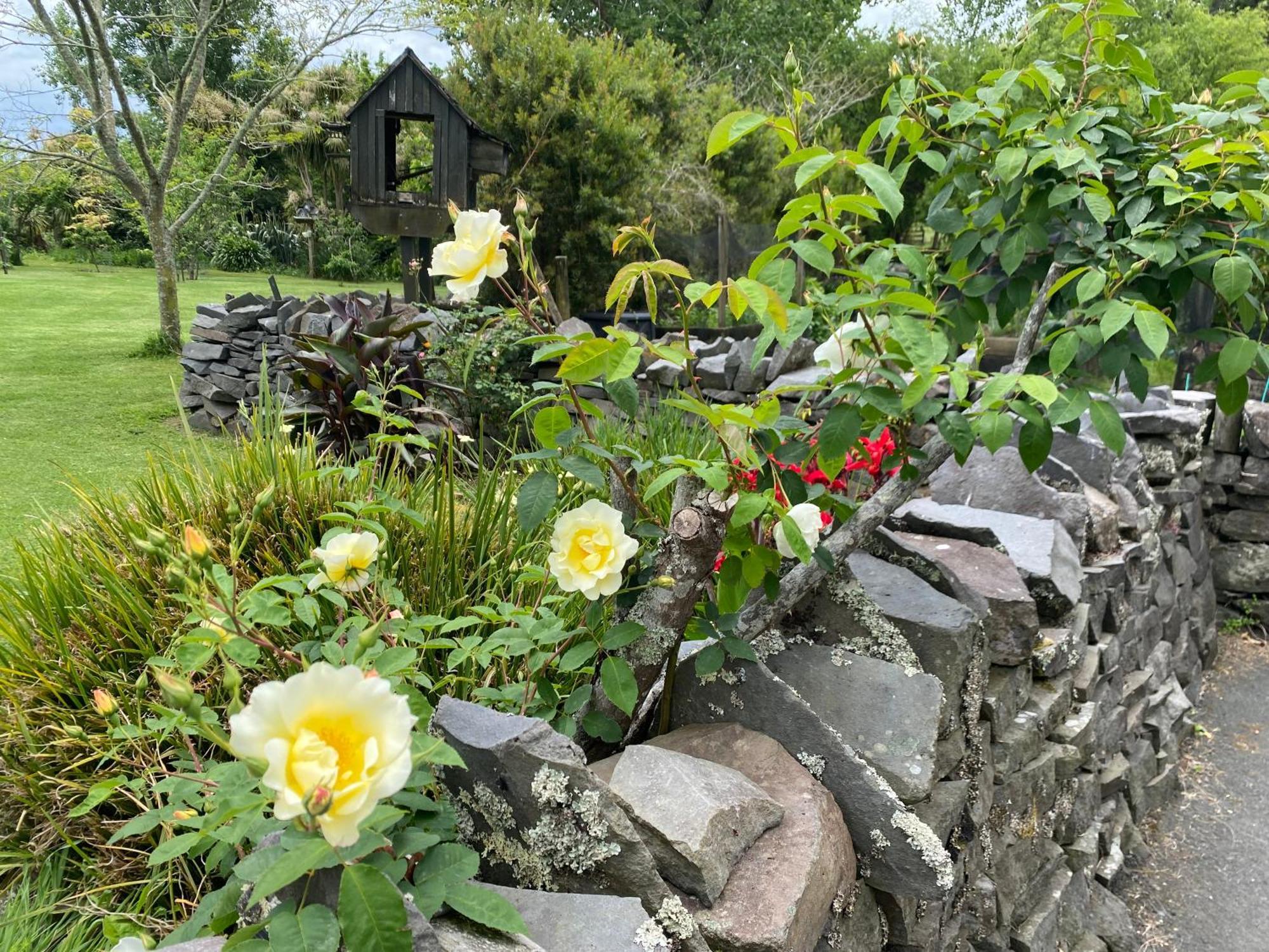 Willows Reach Lodge Kumeu Eksteriør bilde