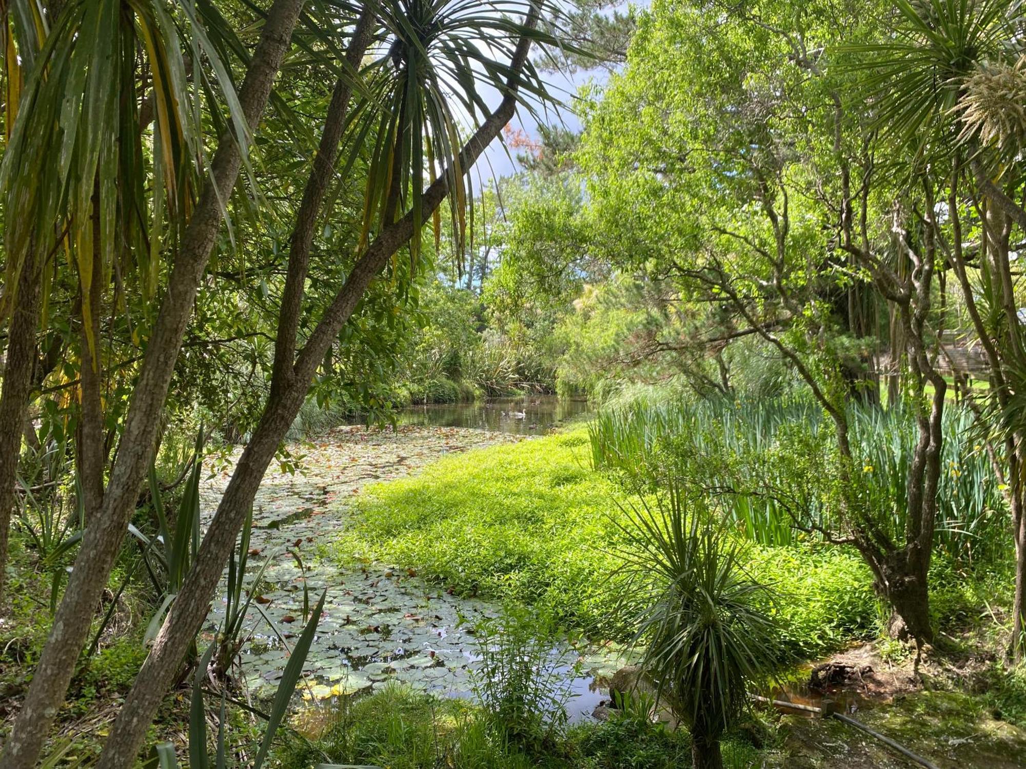 Willows Reach Lodge Kumeu Eksteriør bilde