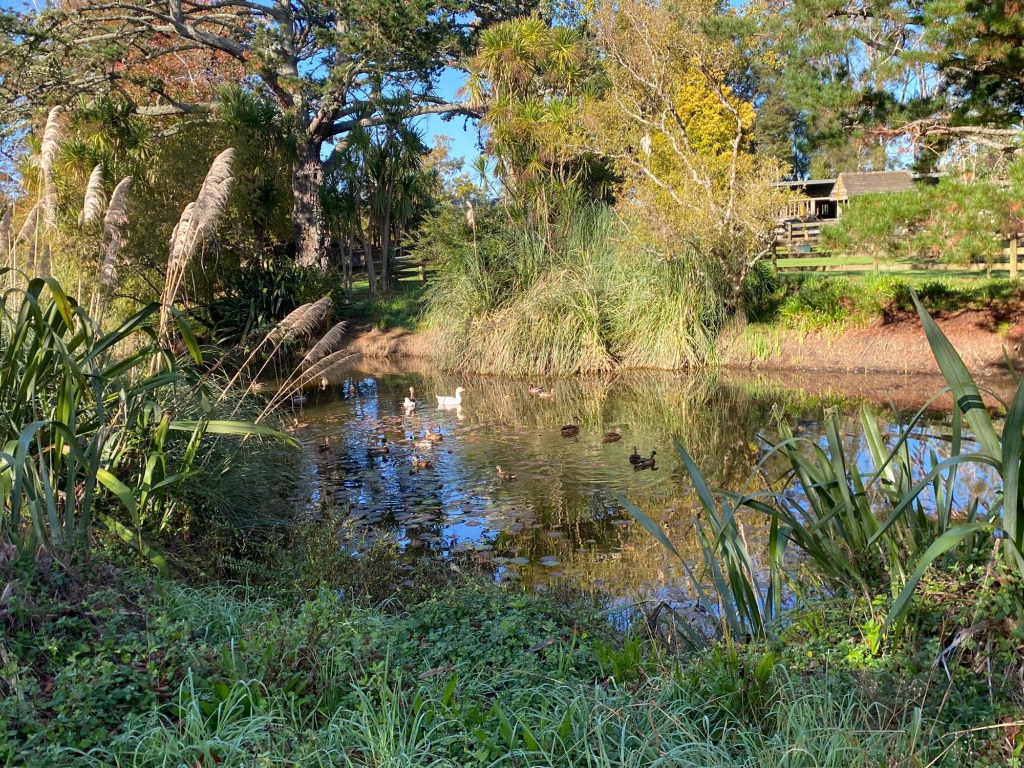 Willows Reach Lodge Kumeu Eksteriør bilde